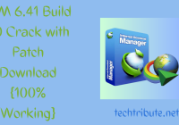 IDM 6.41 Build 20 Crack with Patch Download {100% Working}